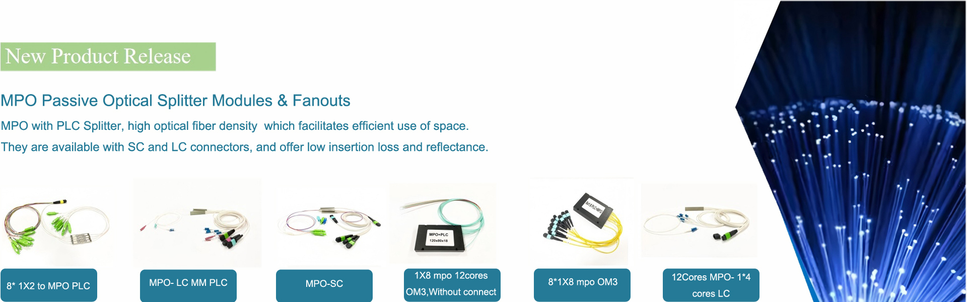 品質 光ファイバ終端ボックス 工場