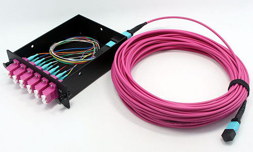 購入 光ファイバーMPO MTPケーブル 8 光ファイバーOM4 LSZHジャケット ネットワーク接続 データセンター オンライン製造