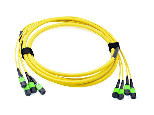 48Fibers  MPO MTP Patch Cord  OS2 SingleMode 4X12Fiber MPO Jumper Cable  LSZH/Riser For Data Center
